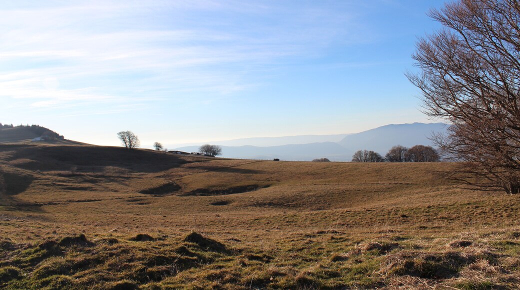 74160 Archamps, France