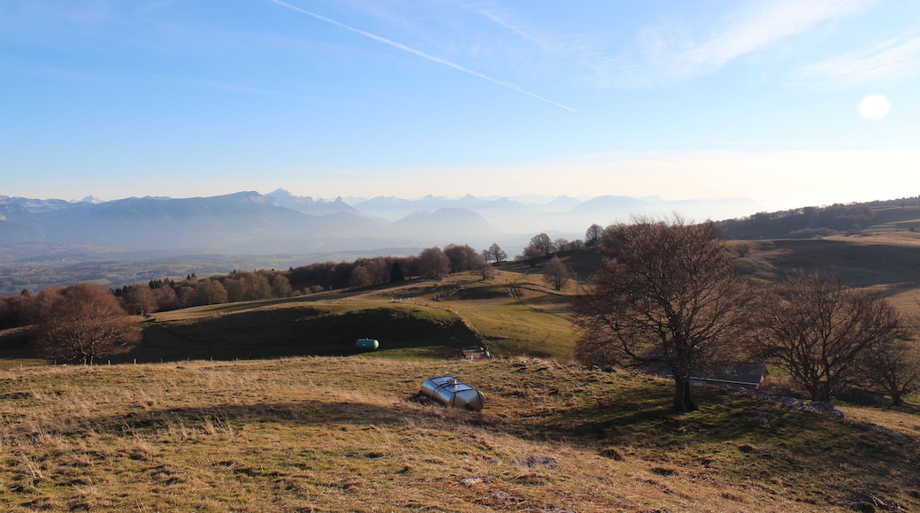 74160 Archamps, France