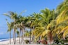 E2GKAT Panama Cocle province Farallon Playa Blanca lined with palm trees over Pacific Ocean