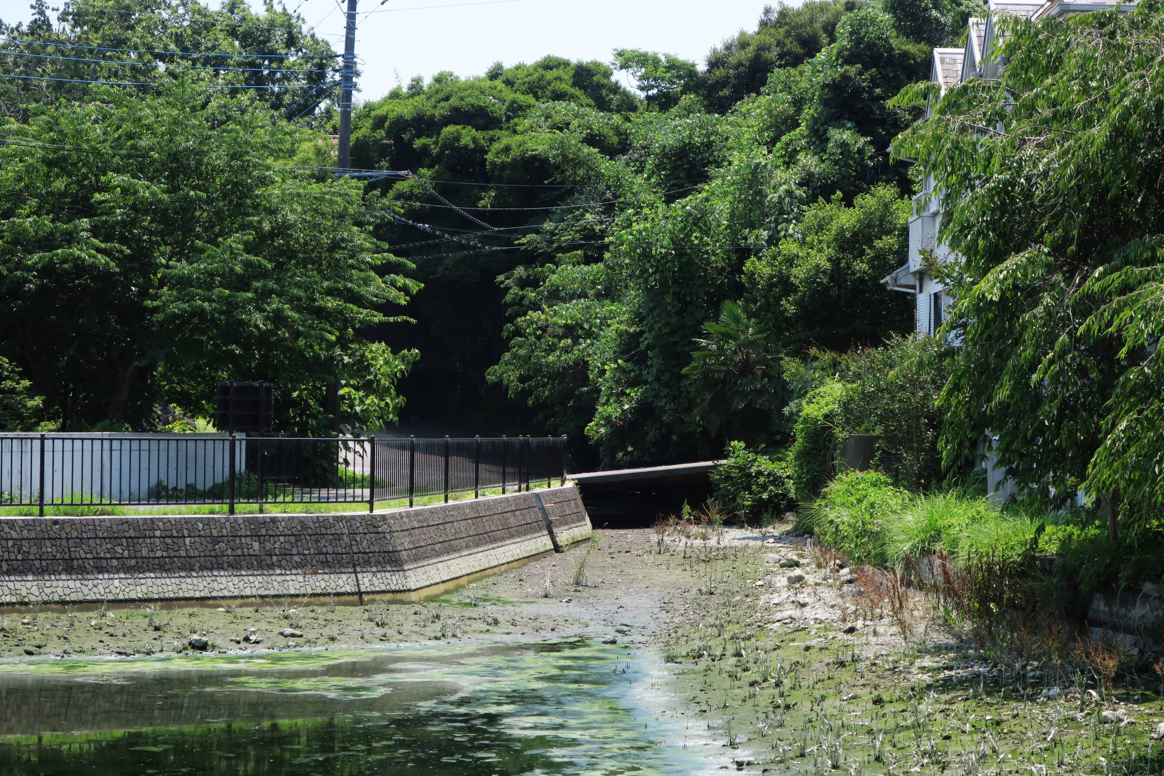 Maruike (Shimizu, Shizuoka).
