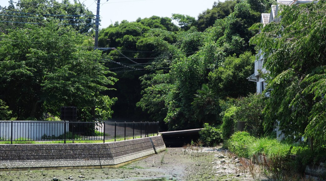 Maruike (Shimizu, Shizuoka).