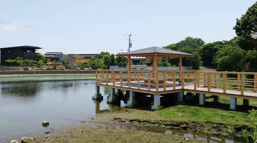 Maruike (Shimizu, Shizuoka).