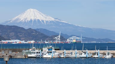 A harbor with boats, a port with cranes, and a snow-capped mountain in the background.
