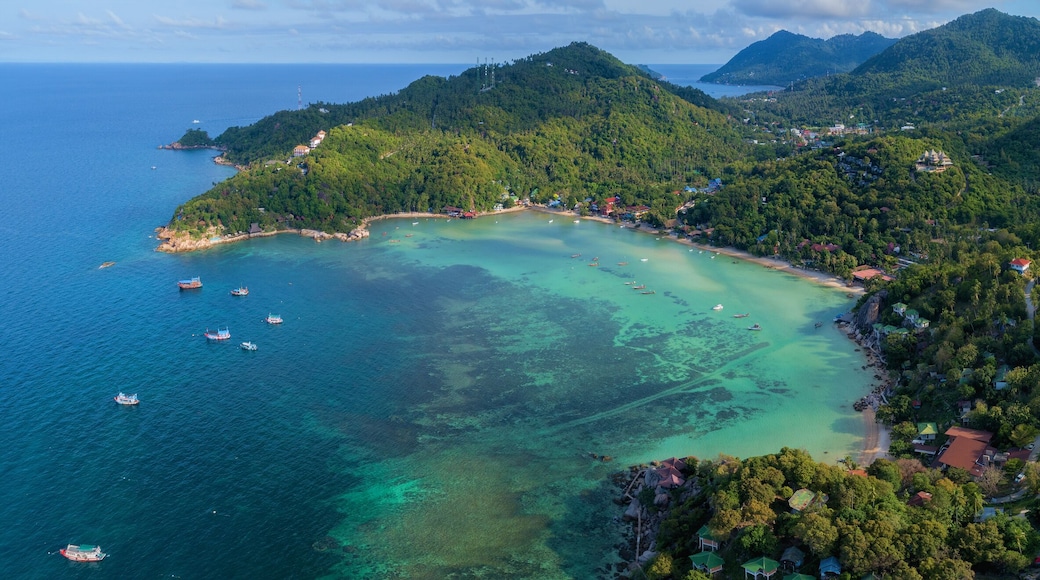 View on top tropical island in the sea