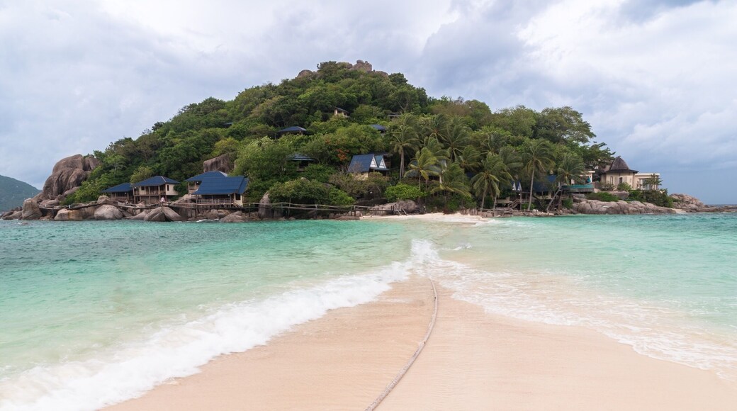 Normally that beach is full of people and deckchairs, but luckily the tides came and all the stuff where moved away and also the most tourist left! #beachtips #bvsquad #thailand #travel #kohtao #BvsExplore#wanderlust #asia #bluewater #beach #paradise