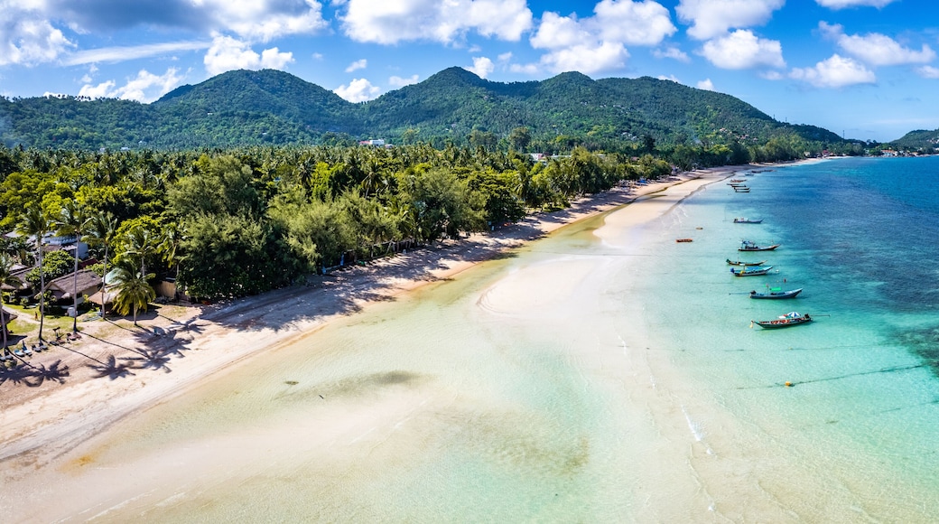 Aerial view of Sairee Beach or Sai Ri Beach in koh Tao, Thailand