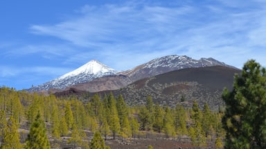 Guia de Isora