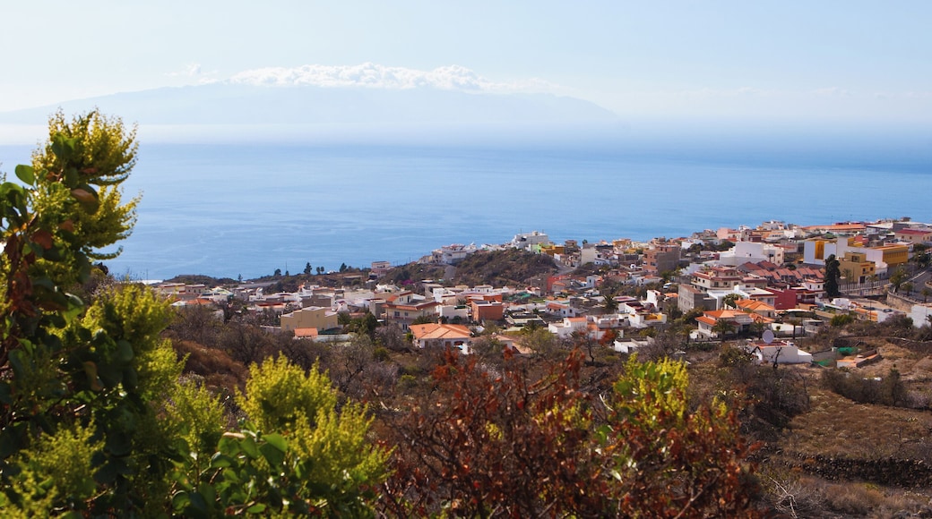 Teneriffa February 2012