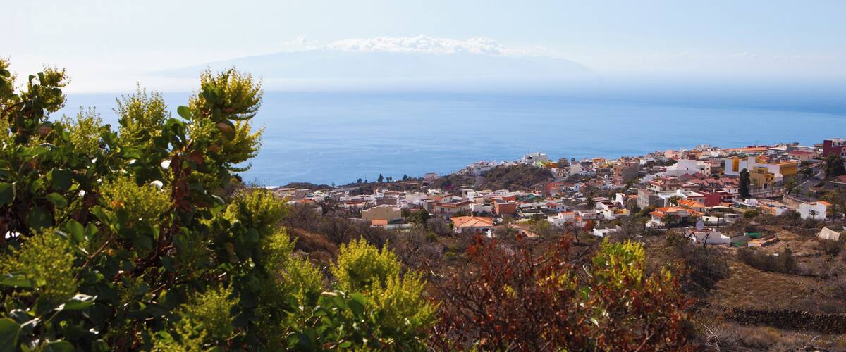 A coastal town with buildings, a mountain in the background, and lush greenery in the foreground.