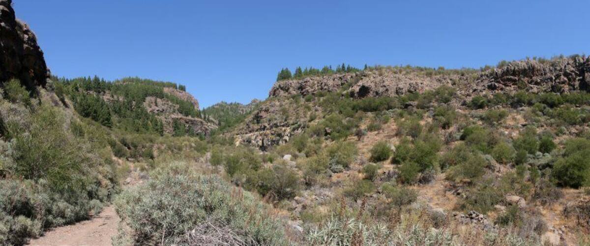 A rocky hillside with sparse vegetation and a clear sky.