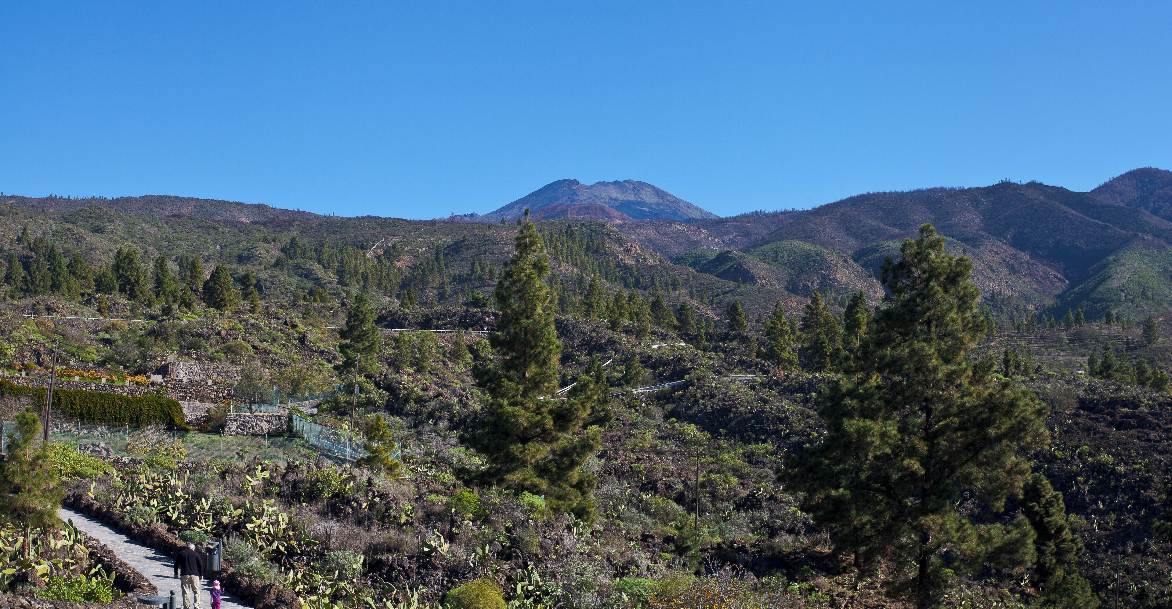 View of Teide from the Chio outlook, Teide National Park, Santa Cruz de Tenerife, Spain