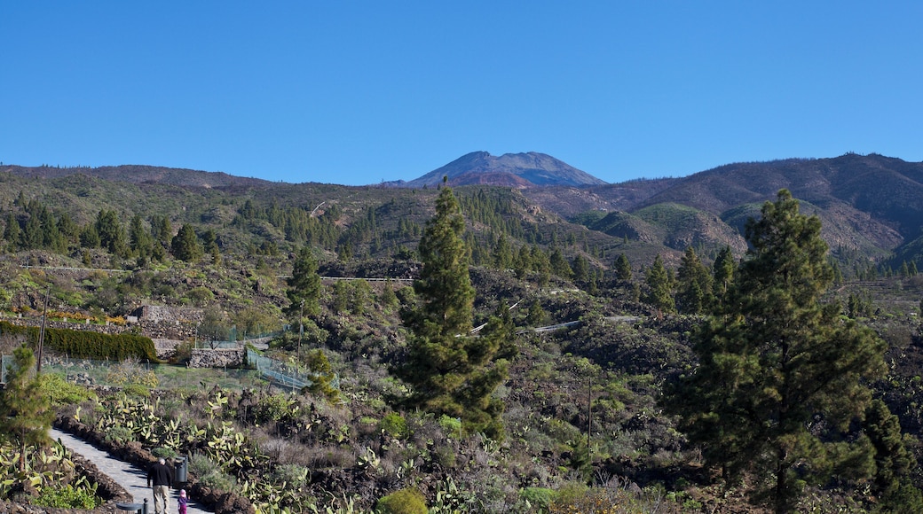 View of Teide from the Chio outlook, Teide National Park, Santa Cruz de Tenerife, Spain