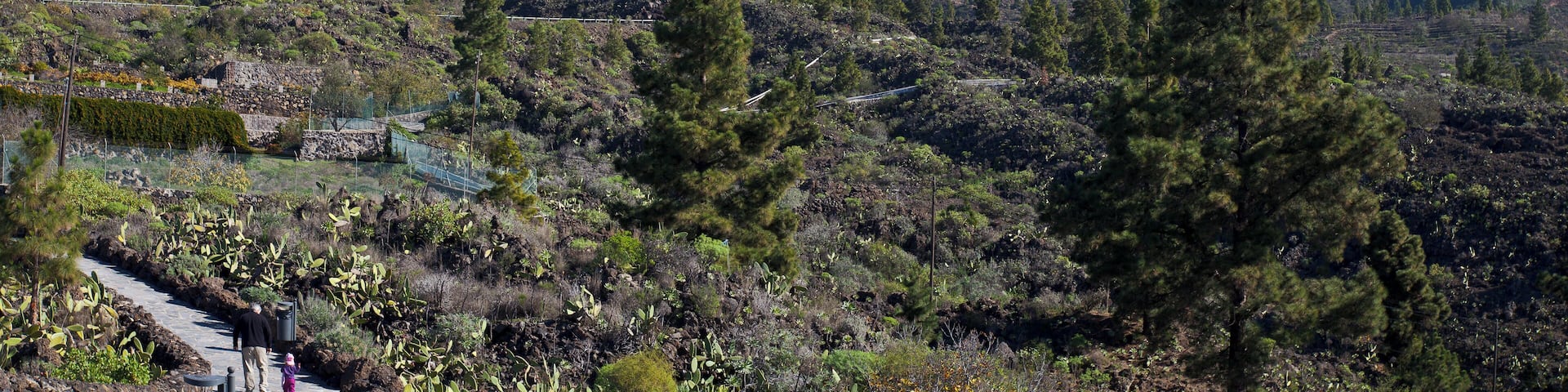 View of Teide from the Chio outlook, Teide National Park, Santa Cruz de Tenerife, Spain