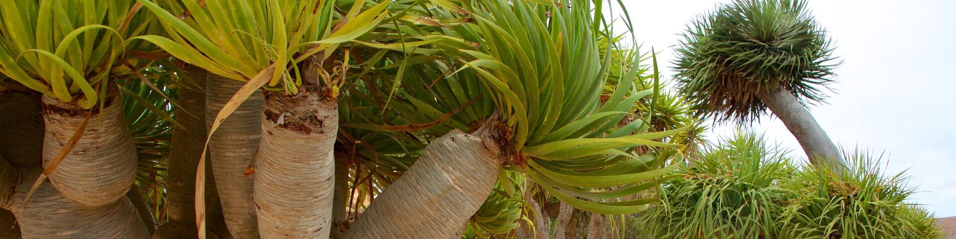 Antigua which includes a park