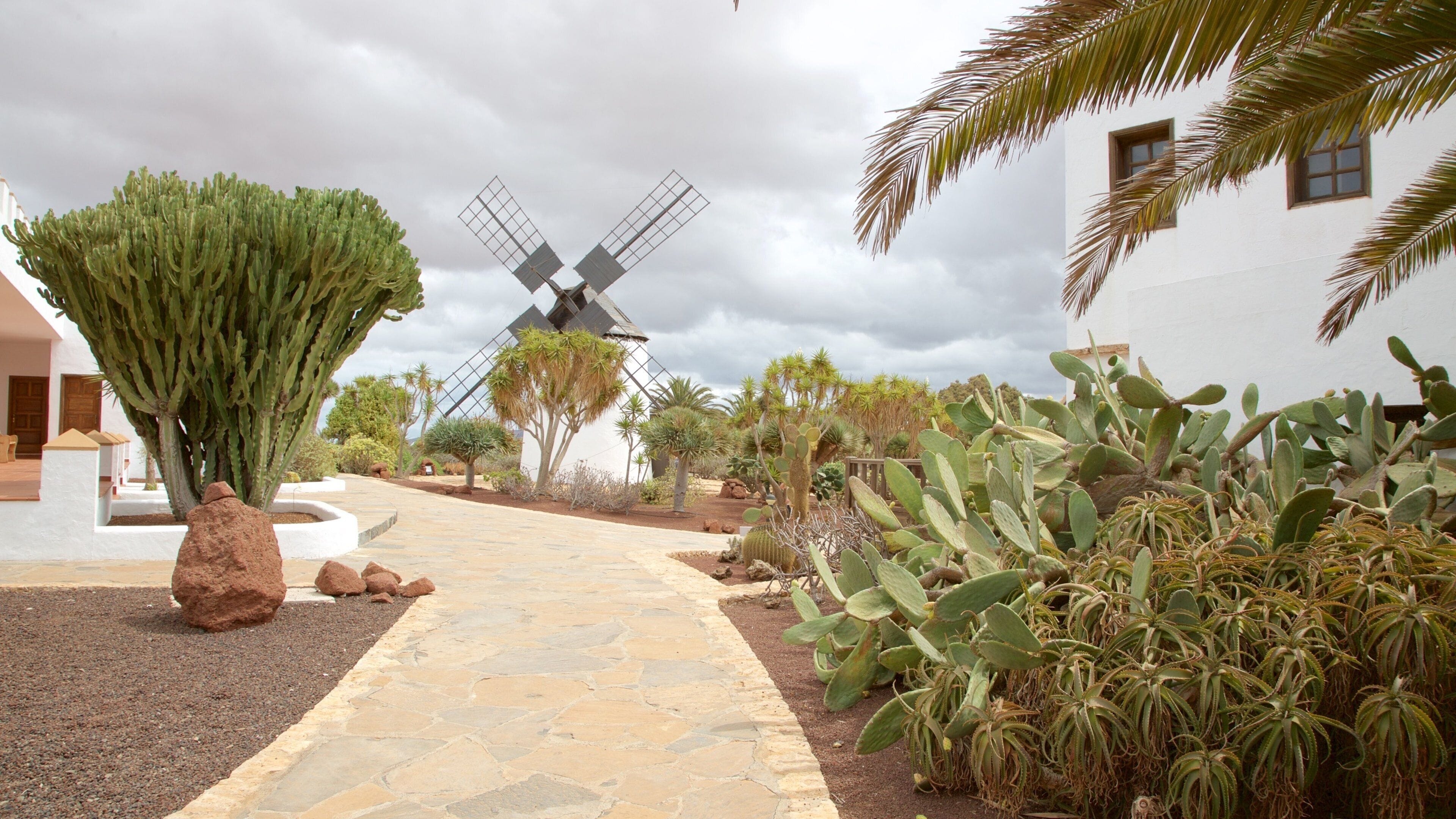 <h2>Top places to stay near the beach</h2>