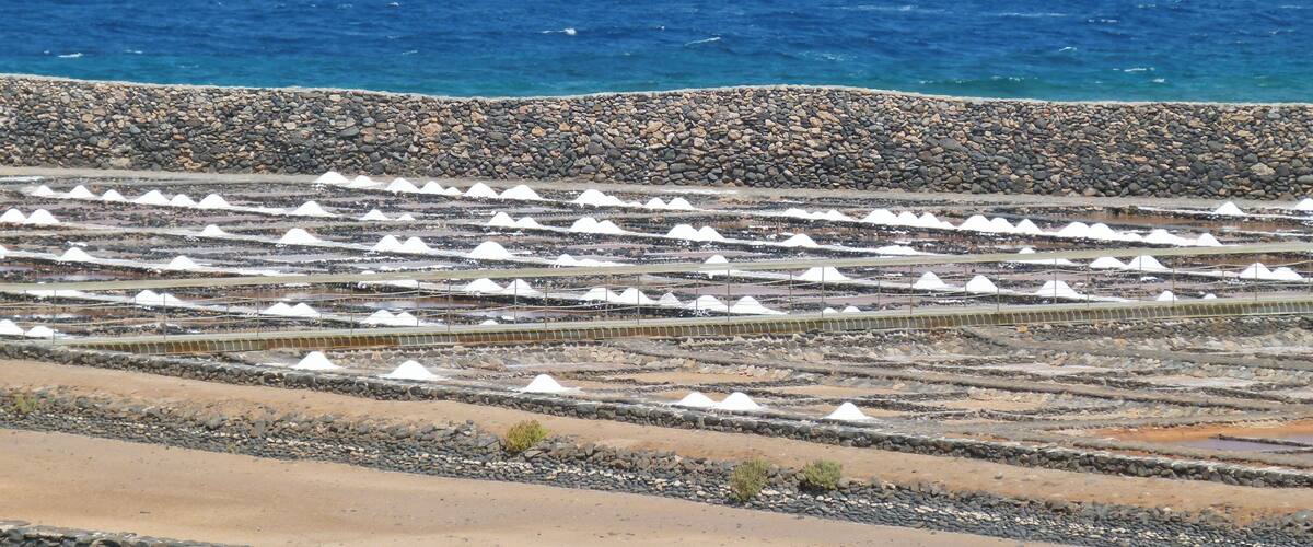 Marine water saline - Salinas del Carmen - Museo de la Sal - Fuerteventura - Canary islands - Spain.