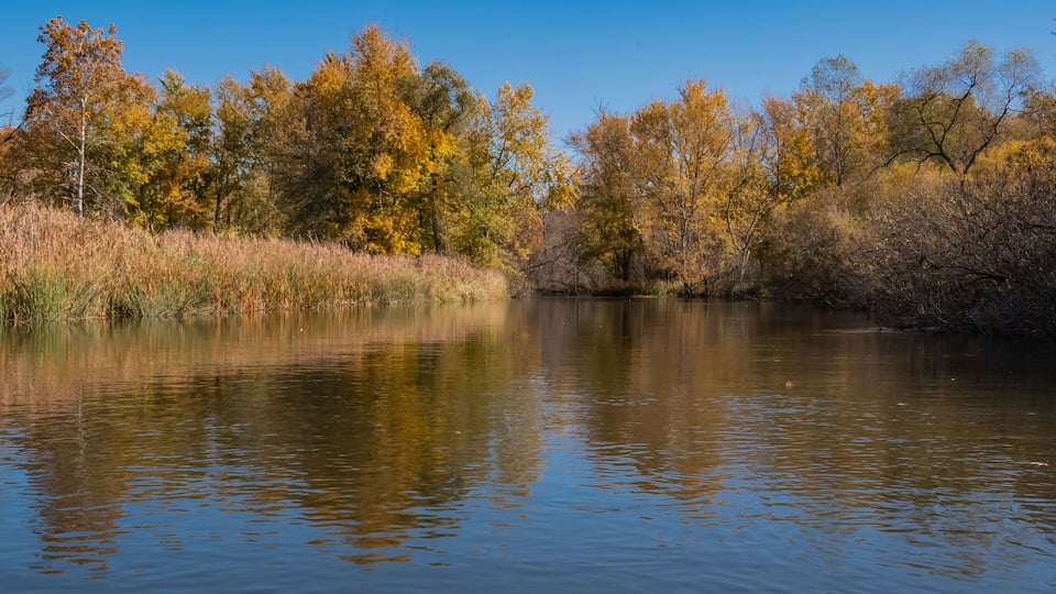 A calm river with autumn foliage reflecting on the water.
