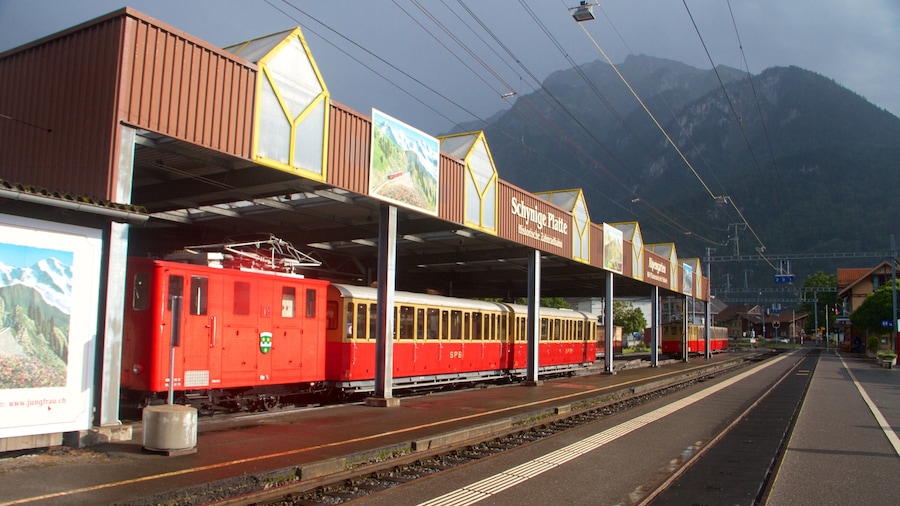 Wilderswil showing mountains, railway items and signage