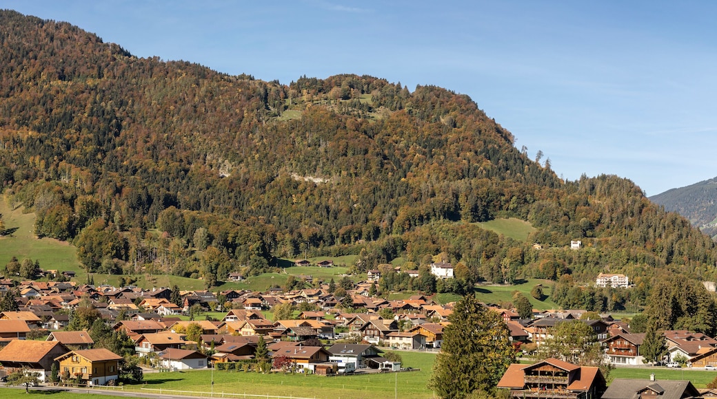Panorama von Wilderswil in der Schweiz