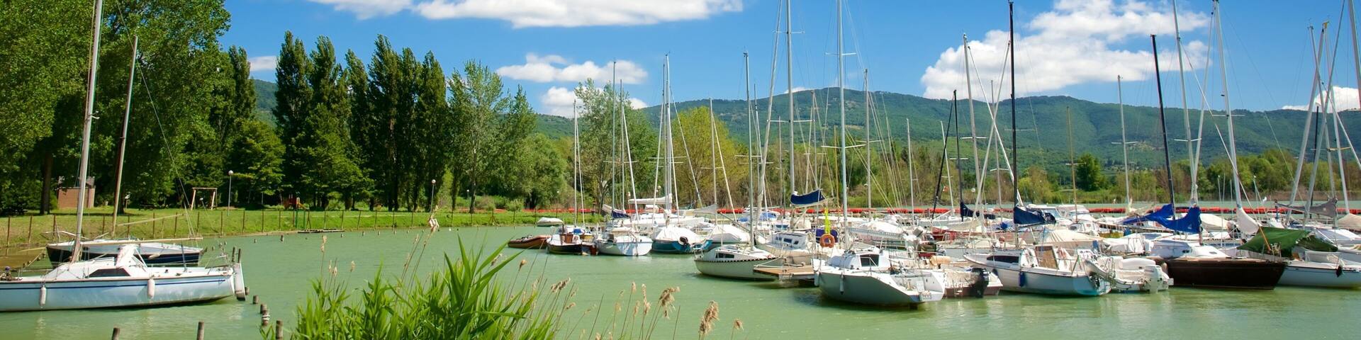 A marina with various boats docked, surrounded by lush greenery and mountains in the background.