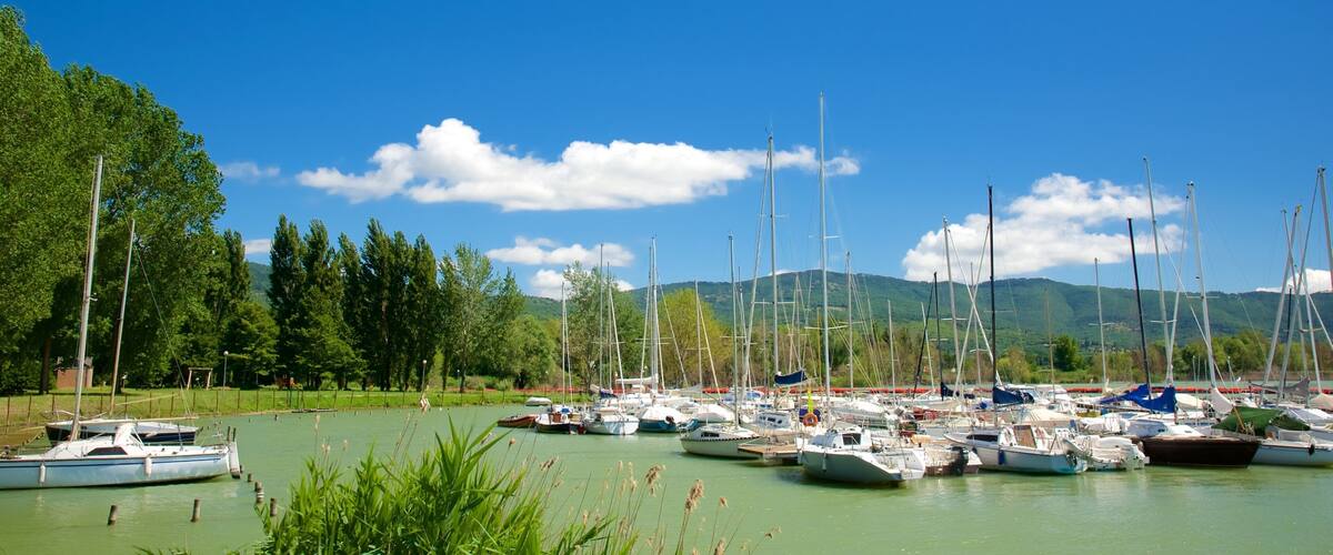 A marina with various boats docked, surrounded by lush greenery and mountains in the background.