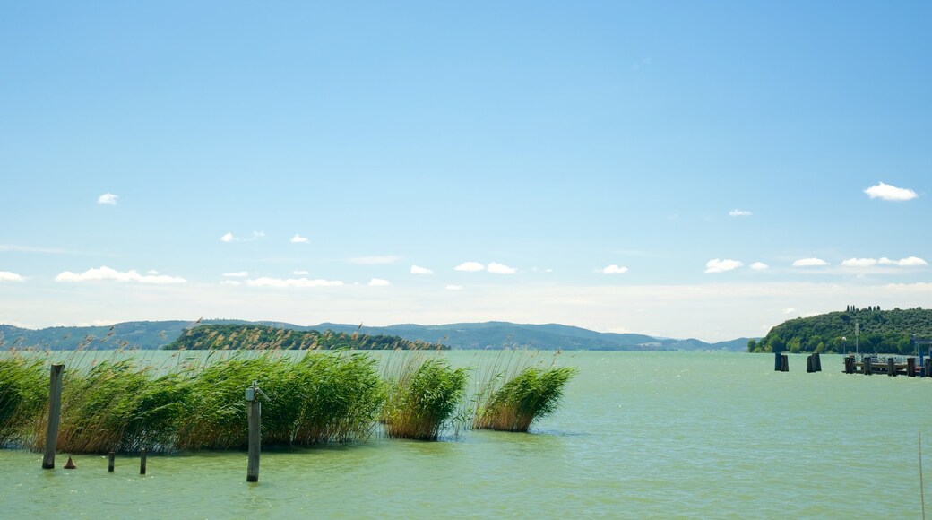 Tuoro sul Trasimeno which includes island views and general coastal views