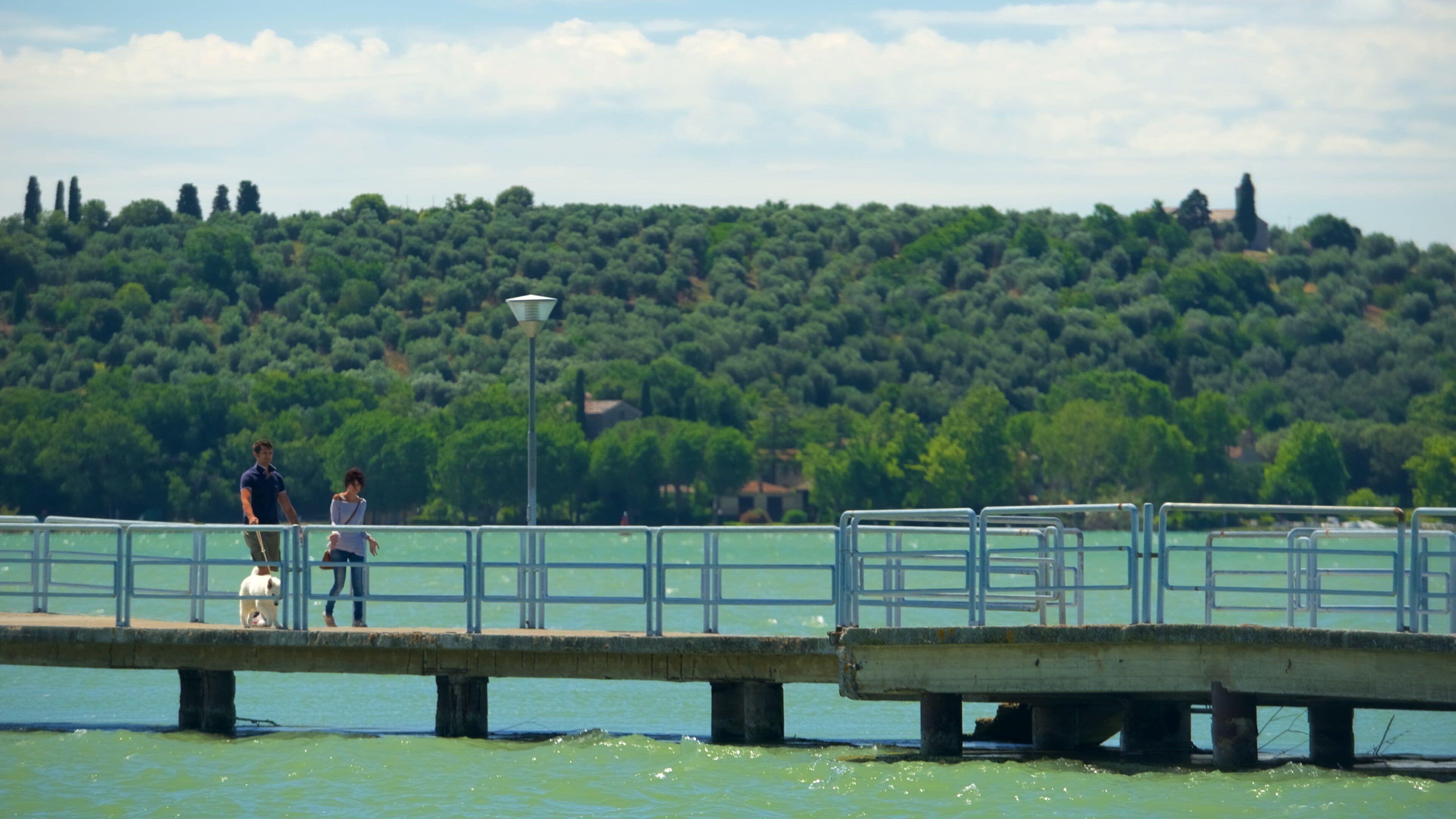 A pier extending into a body of water with people walking on it. In the background, there is a densely wooded hillside.