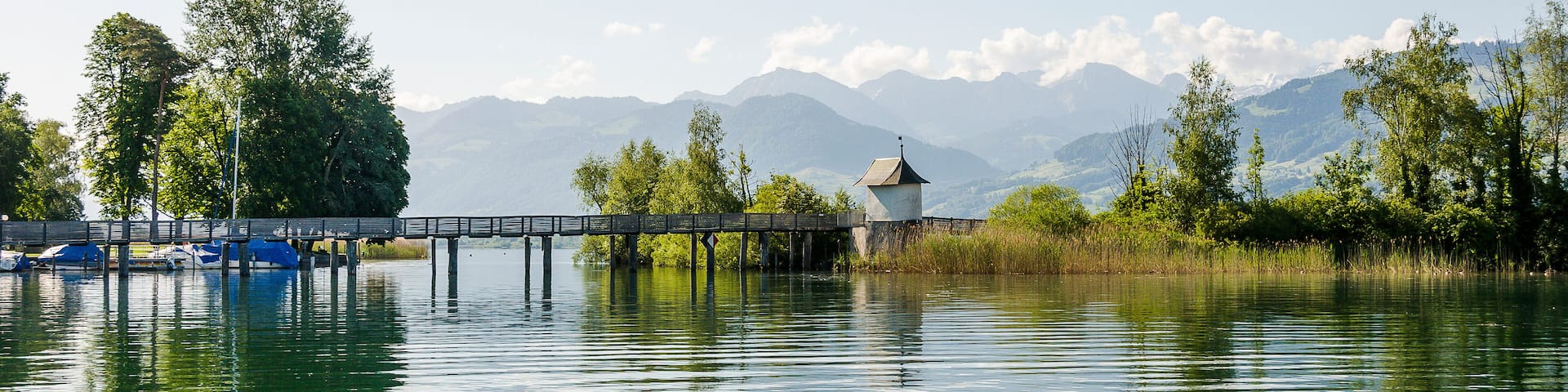 Rapperswil, Zürichsee, Obersee, Seeufer, Schilf, See, Holzsteg, Holzbrücke, Kapelle, Naturschutz, Oberer Zürichsee, Wasservögel, Jona, Schifffahrt, Lachen, Glarner Alpen, Boote, Hafen, Sommer, Schweiz