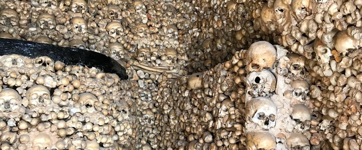 A room filled with numerous skulls.