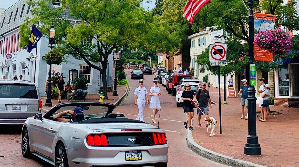 Annapolis, Maryland’s capital city is so charming and historic and beautiful. The USA navy academy is located here too.