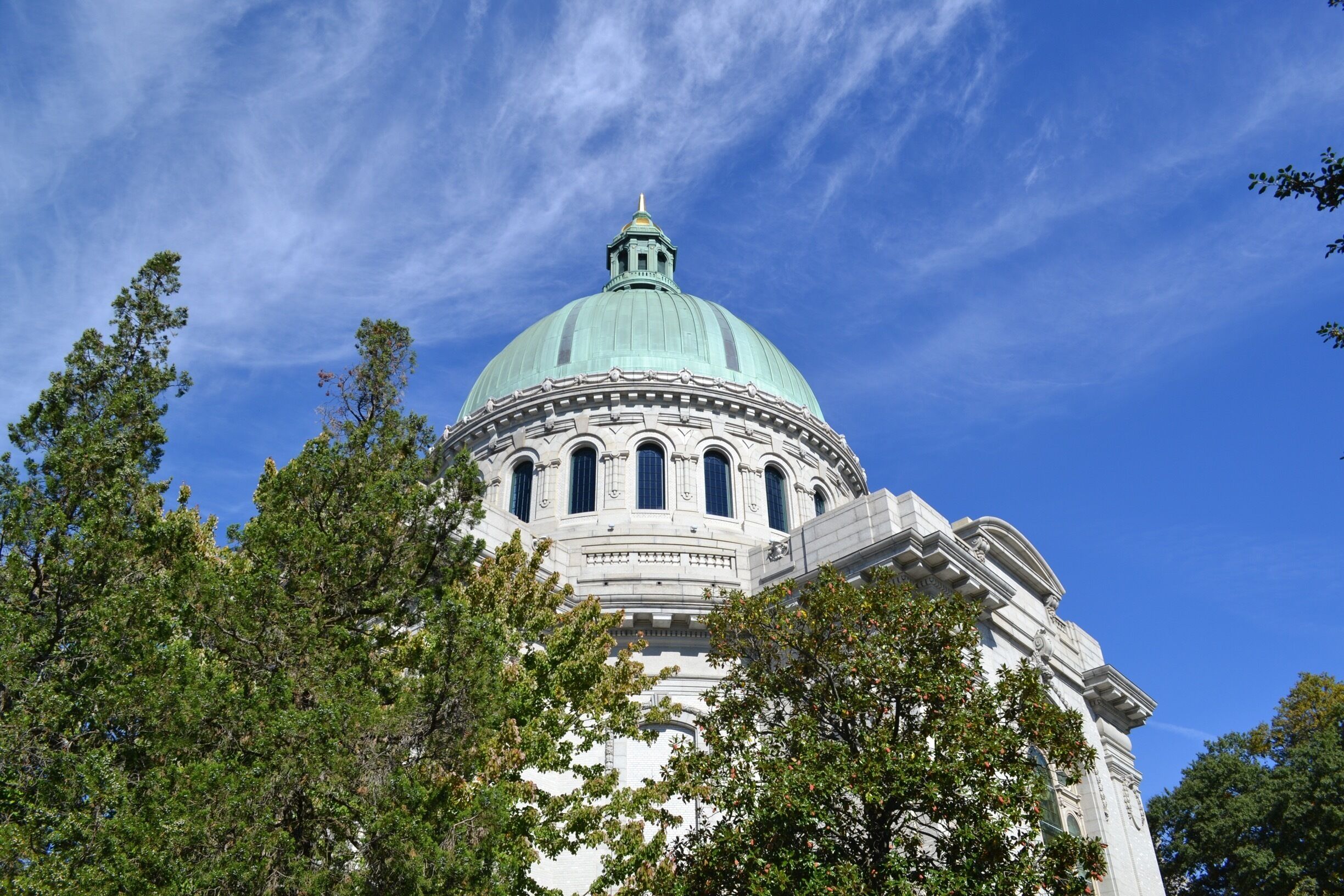 A large domed building with a greenish copper roof, surrounded by trees.