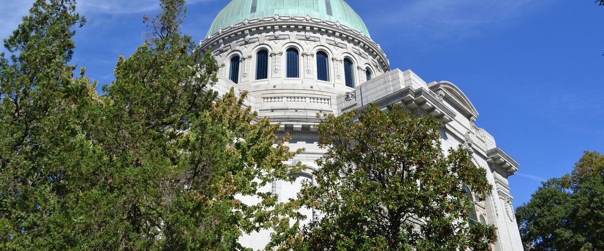 A large domed building with a greenish copper roof, surrounded by trees.