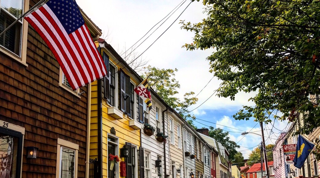 Beautiful troll downtown Annapolis...
#Adventure