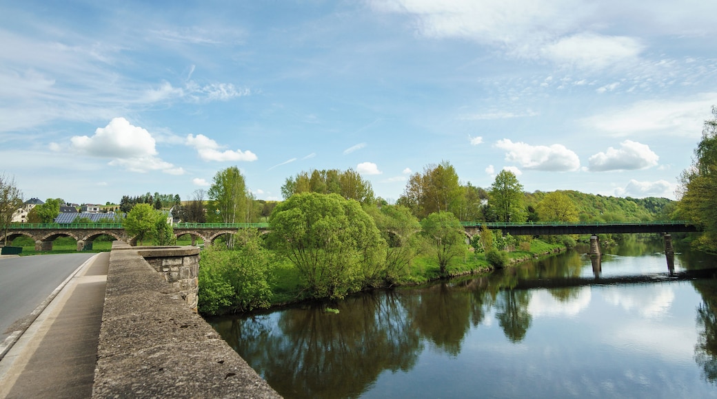 This media shows the protected monument of Saxony with the ID 09240010 KDSa/09240010(other).