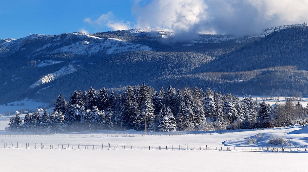Autrans-Méaudre en Vercors