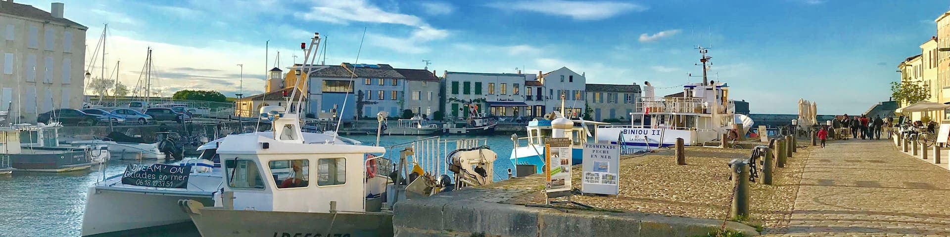 A harbor with boats docked, a cobblestone walkway, and buildings along the waterfront.