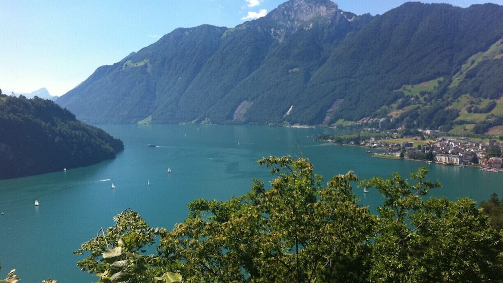 the view from the road