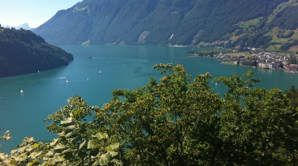 the view from the road