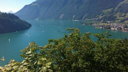 the view from the road