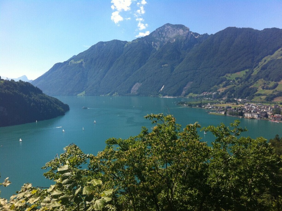 the view from the road