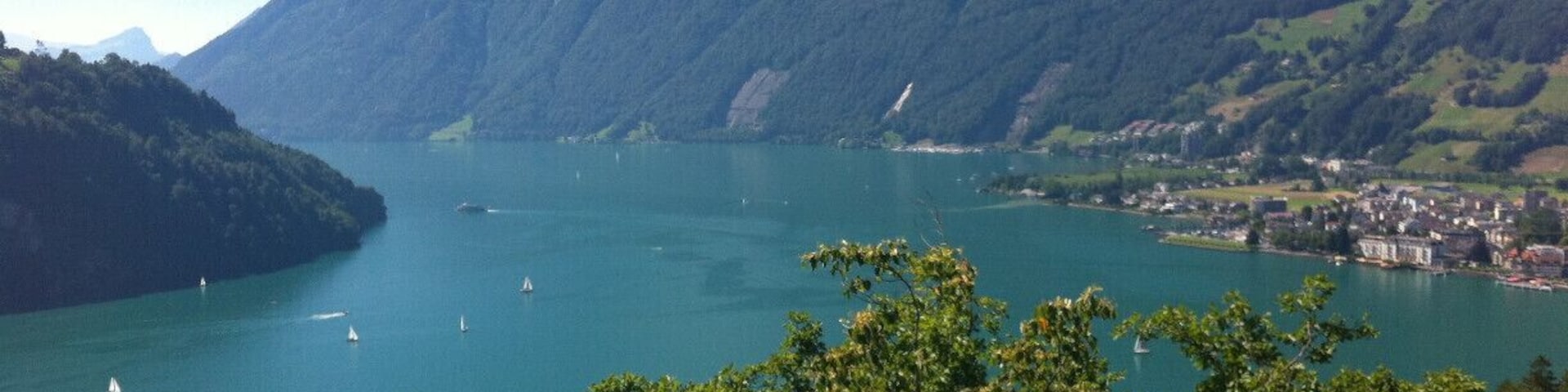 the view from the road