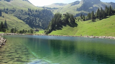 Um lago de montanha límpido, rodeado por colinas verdejantes e florestas densas.