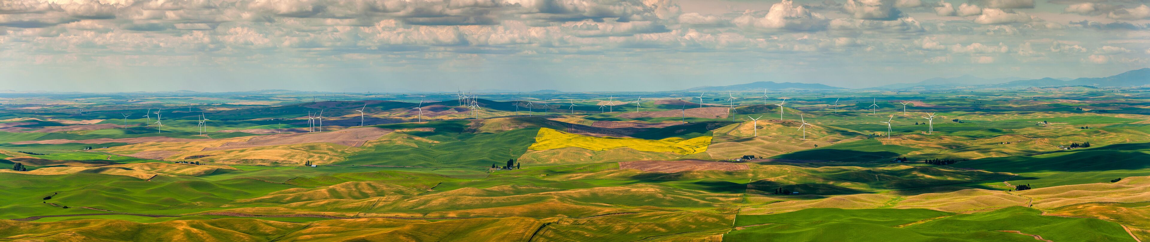 Wind Turbines Seen From Steptoe Butte State Park, Washington. Wind power on the Palouse, a long-unused resource, has become part of a broader network of alternative energy consisting of 58 turbines.