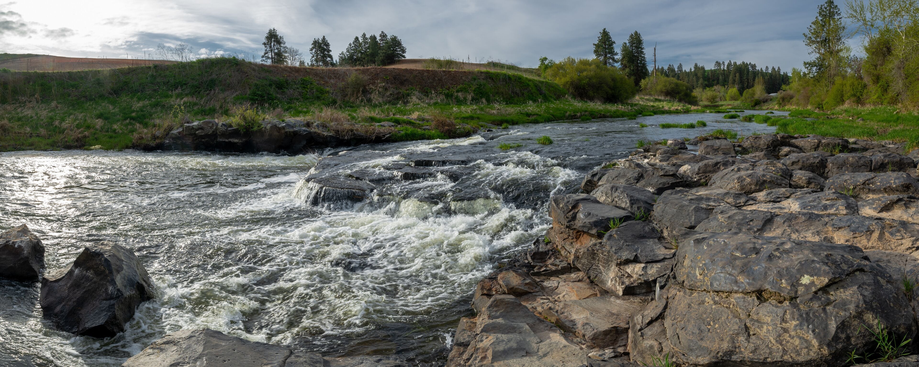 Colfax Trail Along the Palouse River