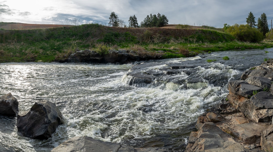 Colfax Trail Along the Palouse River
