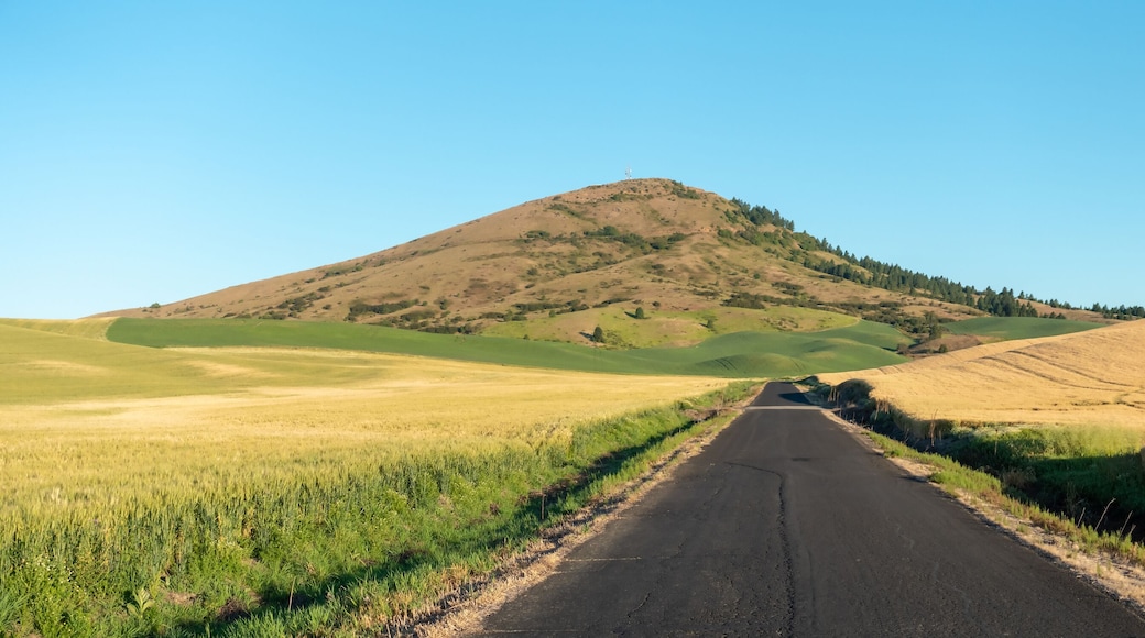 road to steptoe butte park in palouse washington