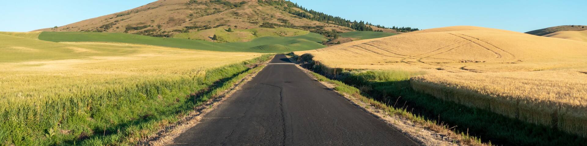 road to steptoe butte park in palouse washington