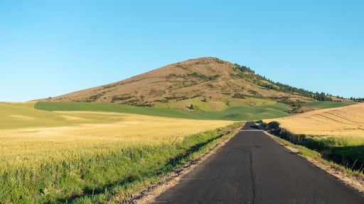 road to steptoe butte park in palouse washington