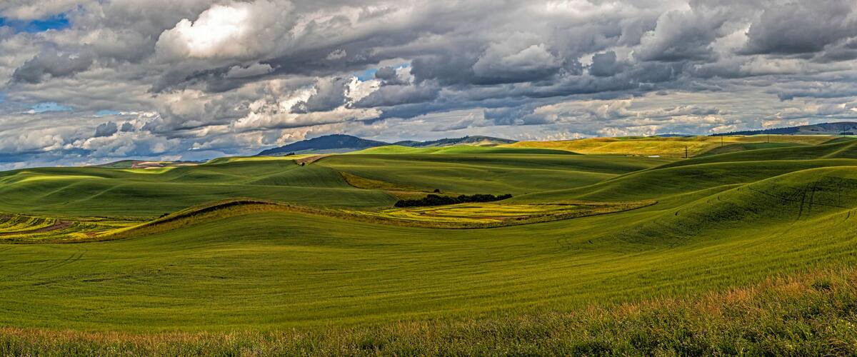 USA, Colfax, Washington State. Enos Road, scenic agriculture.
