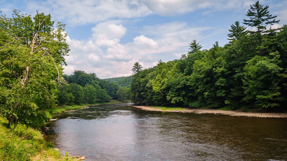 Cook Forest State Park